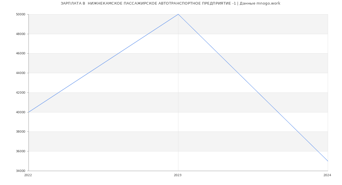 Статистика зарплат  НИЖНЕКАМСКОЕ ПАССАЖИРСКОЕ АВТОТРАНСПОРТНОЕ ПРЕДПРИЯТИЕ -1