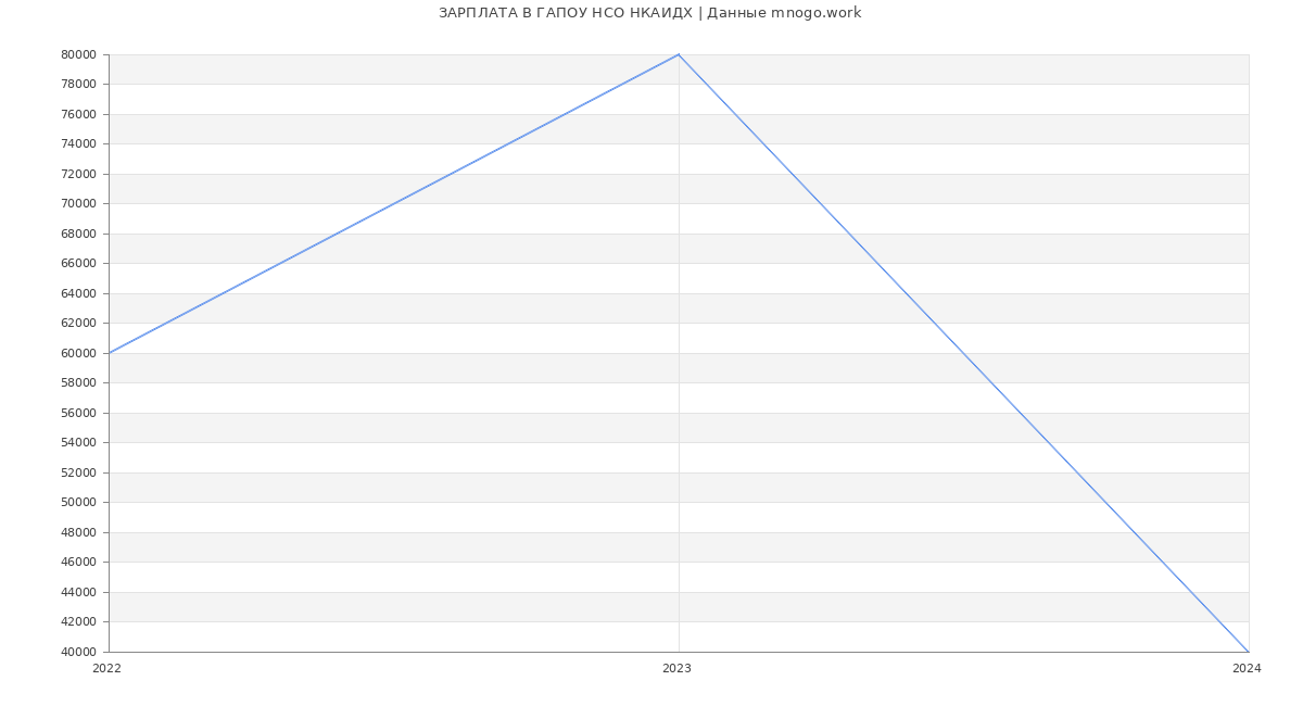 Статистика зарплат ГАПОУ НСО НКАИДХ