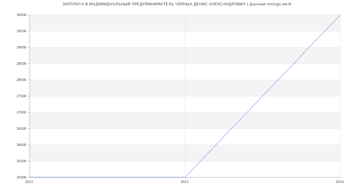 Статистика зарплат ИНДИВИДУАЛЬНЫЙ ПРЕДПРИНИМАТЕЛЬ ЧЕРНЫХ ДЕНИС АЛЕКСАНДРОВИЧ
