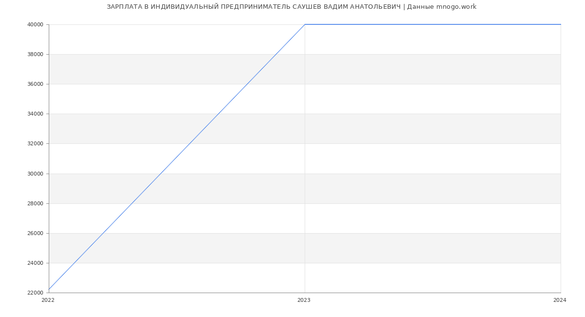 Статистика зарплат ИНДИВИДУАЛЬНЫЙ ПРЕДПРИНИМАТЕЛЬ САУШЕВ ВАДИМ АНАТОЛЬЕВИЧ
