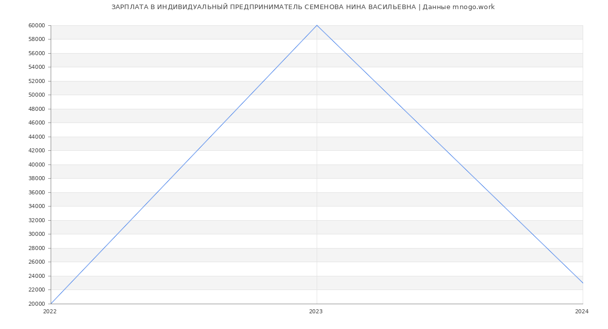 Статистика зарплат ИНДИВИДУАЛЬНЫЙ ПРЕДПРИНИМАТЕЛЬ СЕМЕНОВА НИНА ВАСИЛЬЕВНА