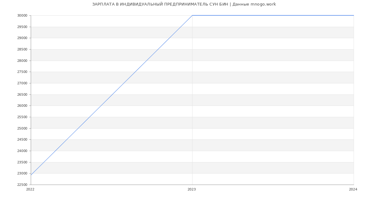 Статистика зарплат ИНДИВИДУАЛЬНЫЙ ПРЕДПРИНИМАТЕЛЬ СУН БИН