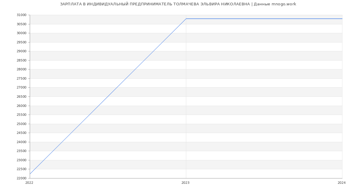 Статистика зарплат ИНДИВИДУАЛЬНЫЙ ПРЕДПРИНИМАТЕЛЬ ТОЛМАЧЕВА ЭЛЬВИРА НИКОЛАЕВНА