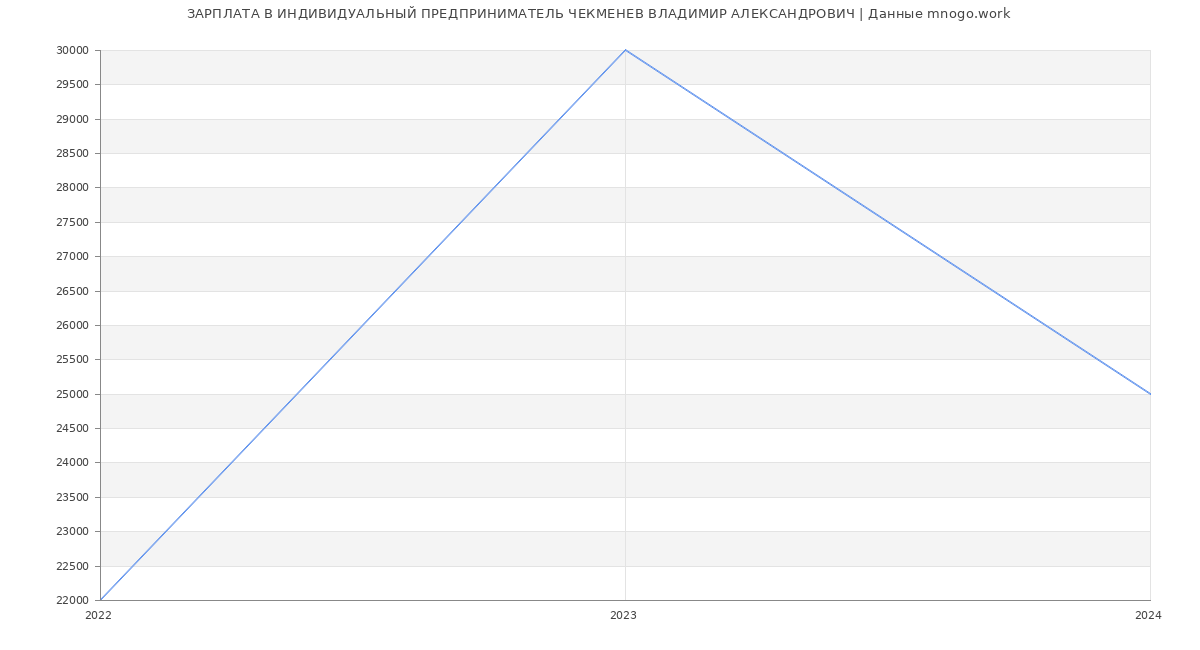 Статистика зарплат ИНДИВИДУАЛЬНЫЙ ПРЕДПРИНИМАТЕЛЬ ЧЕКМЕНЕВ ВЛАДИМИР АЛЕКСАНДРОВИЧ