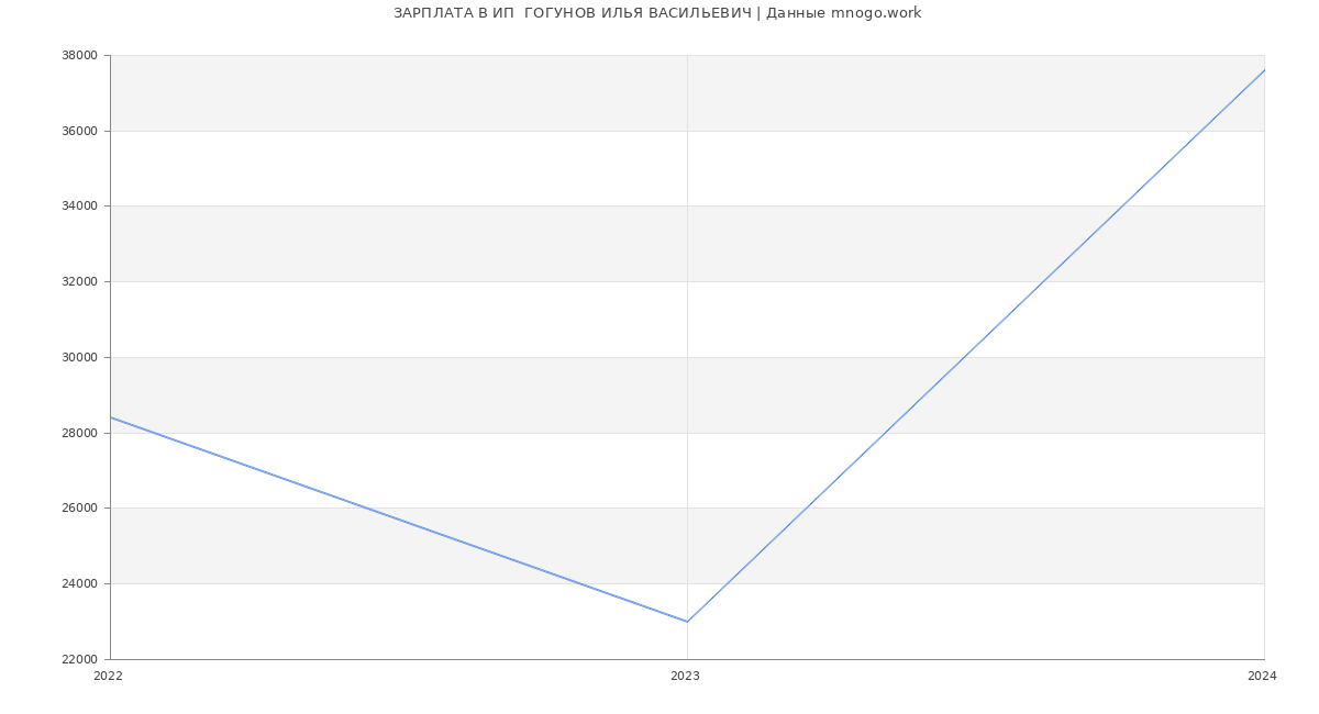 Статистика зарплат ИП  ГОГУНОВ ИЛЬЯ ВАСИЛЬЕВИЧ