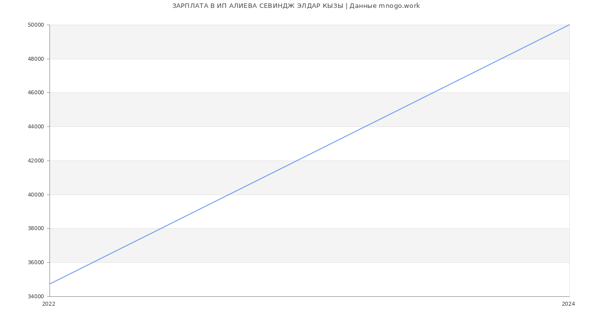 Статистика зарплат ИП АЛИЕВА СЕВИНДЖ ЭЛДАР КЫЗЫ