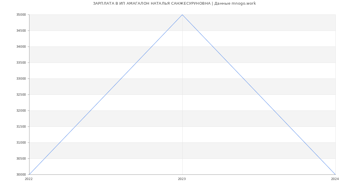 Статистика зарплат ИП АМАГАЛОН НАТАЛЬЯ САНЖЕСУРУНОВНА