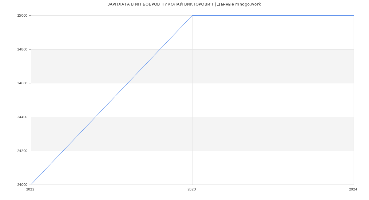 Статистика зарплат ИП БОБРОВ НИКОЛАЙ ВИКТОРОВИЧ
