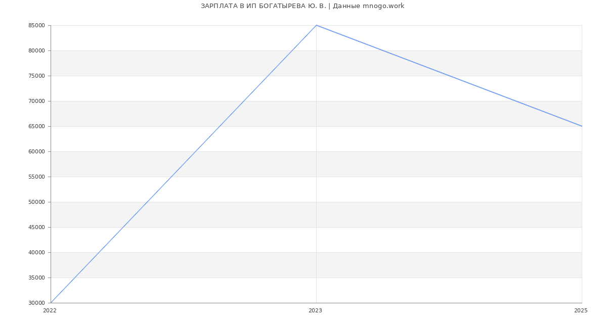 Статистика зарплат ИП БОГАТЫРЕВА Ю. В.