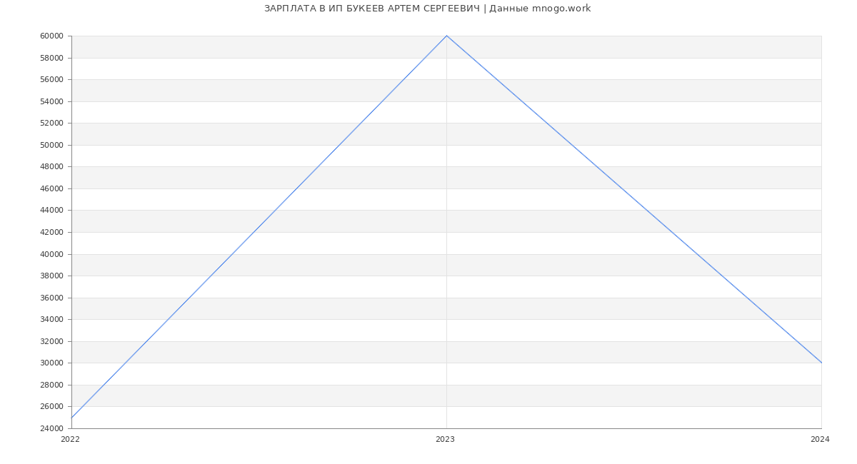 Статистика зарплат ИП БУКЕЕВ АРТЕМ СЕРГЕЕВИЧ