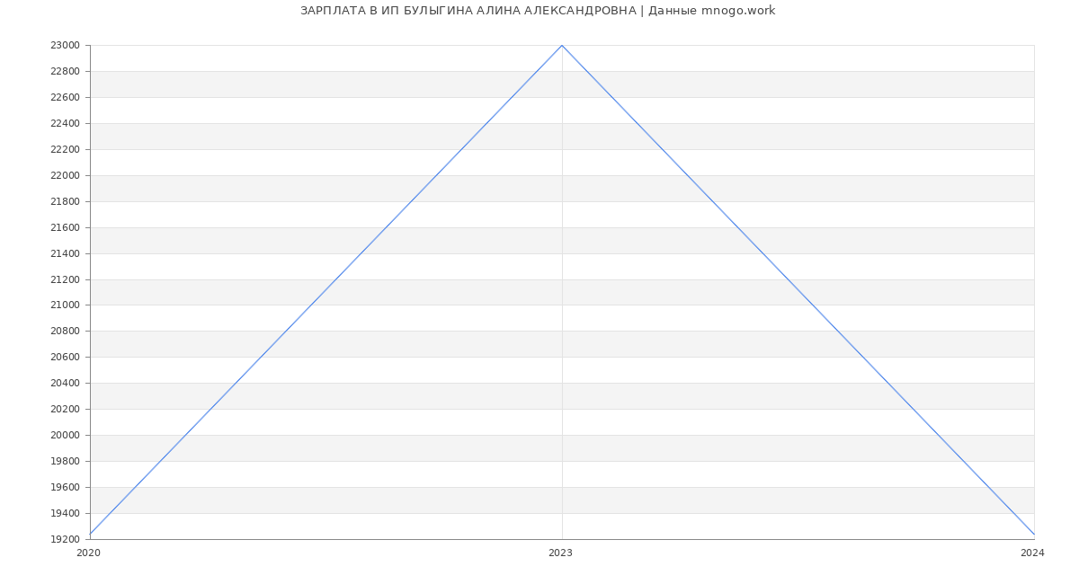 Статистика зарплат ИП БУЛЫГИНА АЛИНА АЛЕКСАНДРОВНА