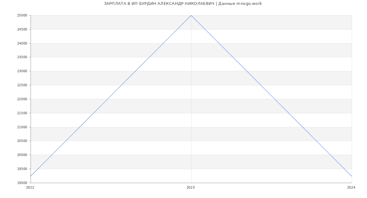 Статистика зарплат ИП БУРДИН АЛЕКСАНДР НИКОЛАЕВИЧ