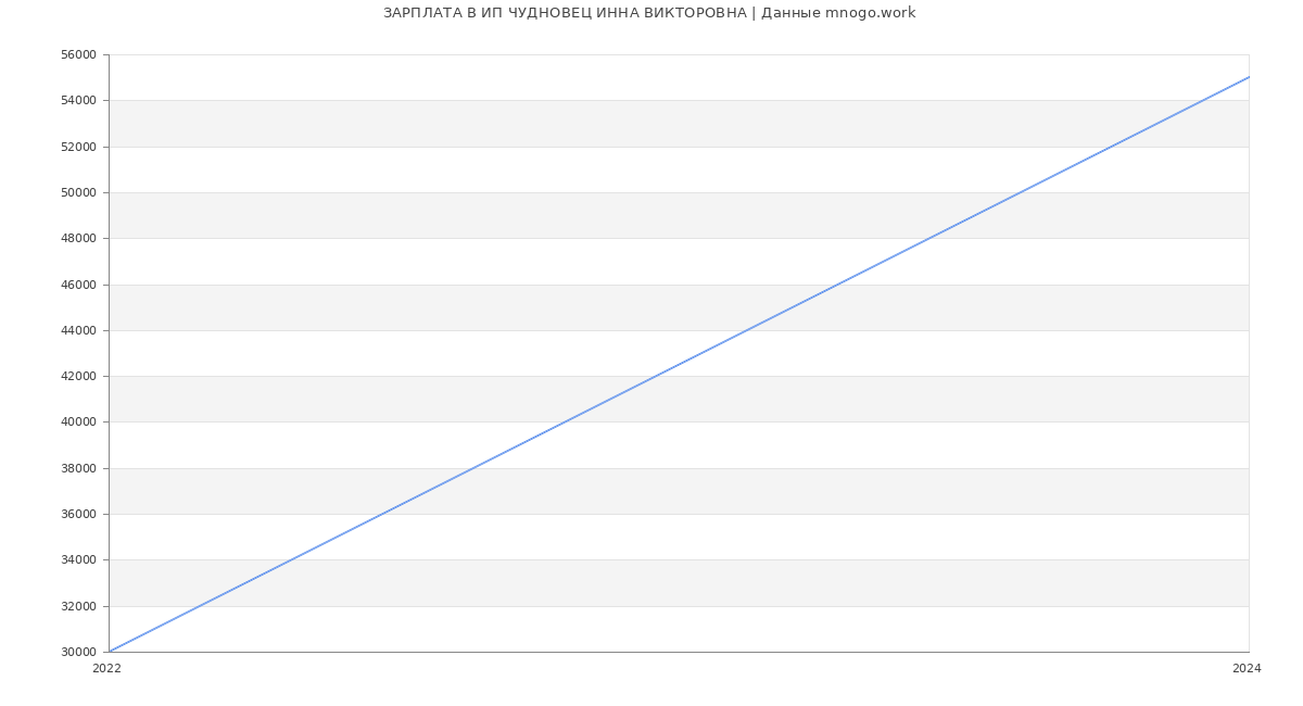 Статистика зарплат ИП ЧУДНОВЕЦ ИННА ВИКТОРОВНА