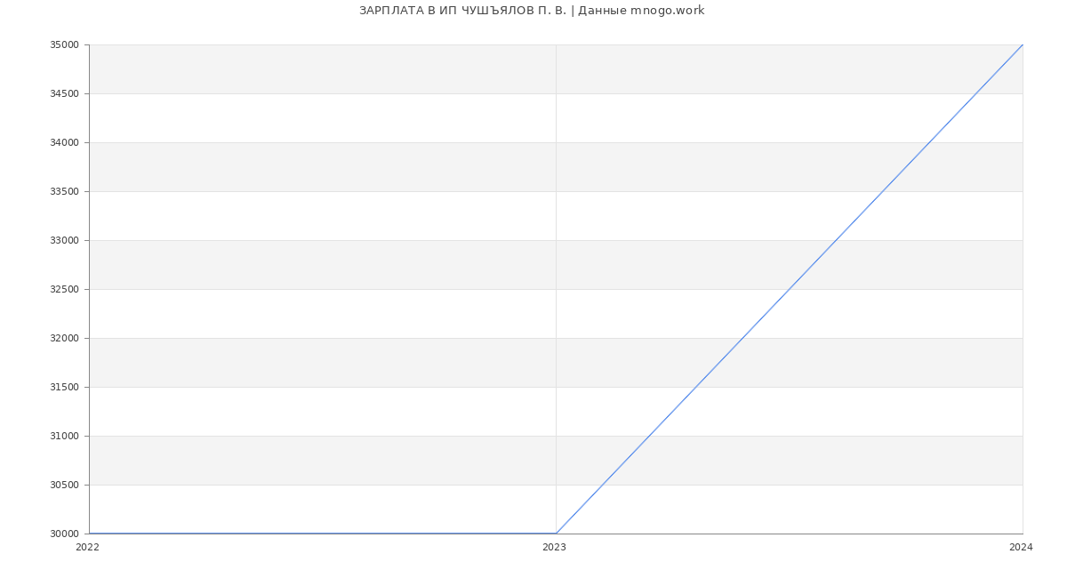 Статистика зарплат ИП ЧУШЪЯЛОВ П. В.
