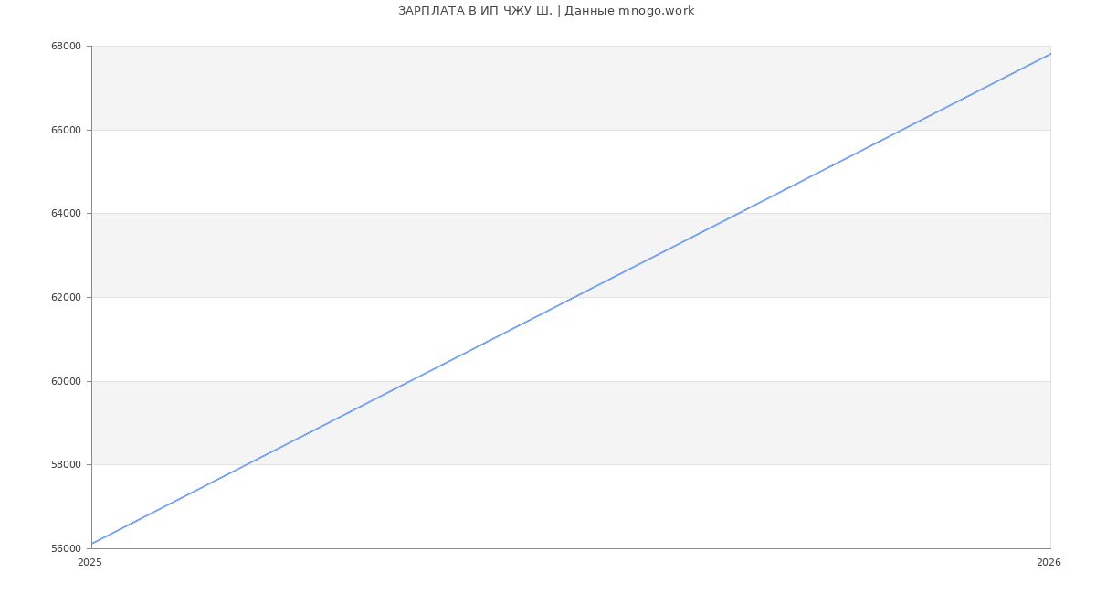 Статистика зарплат ИП ЧЖУ Ш.
