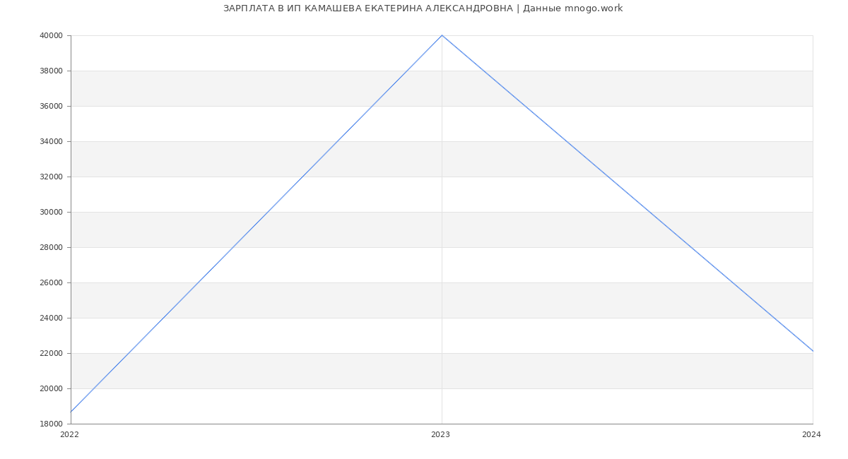 Статистика зарплат ИП КАМАШЕВА ЕКАТЕРИНА АЛЕКСАНДРОВНА