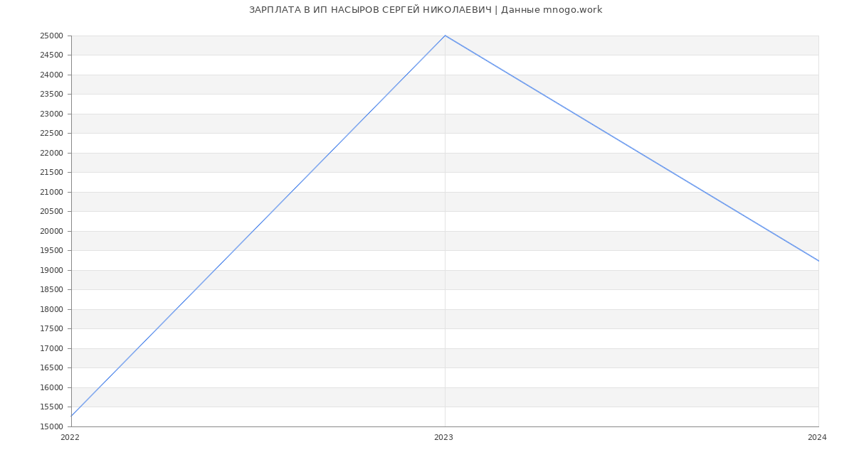 Статистика зарплат ИП НАСЫРОВ СЕРГЕЙ НИКОЛАЕВИЧ