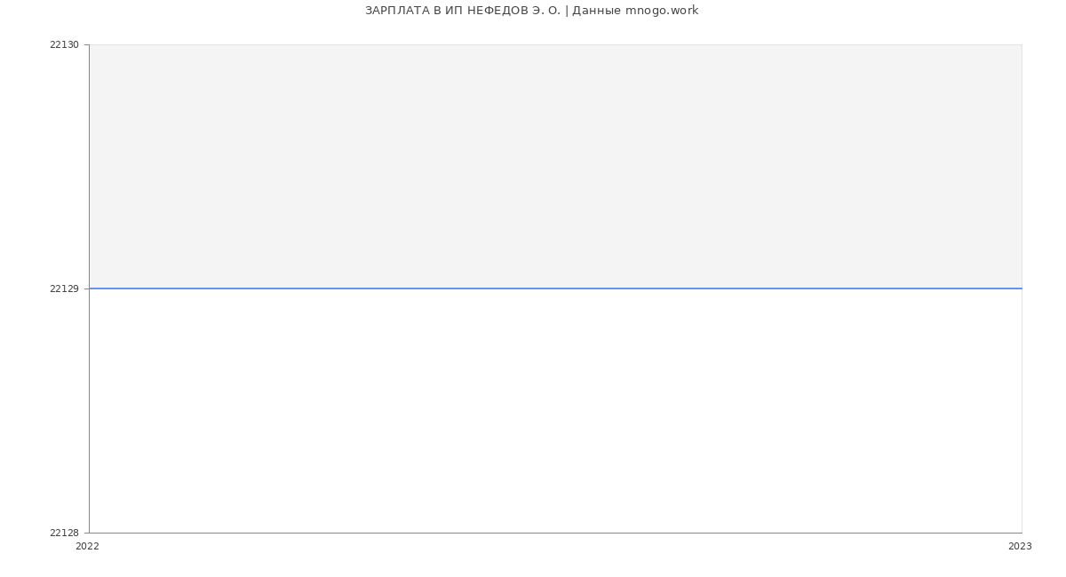 Статистика зарплат ИП НЕФЕДОВ Э. О.