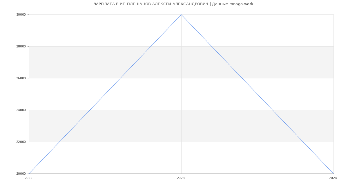 Статистика зарплат ИП ПЛЕШАНОВ АЛЕКСЕЙ АЛЕКСАНДРОВИЧ