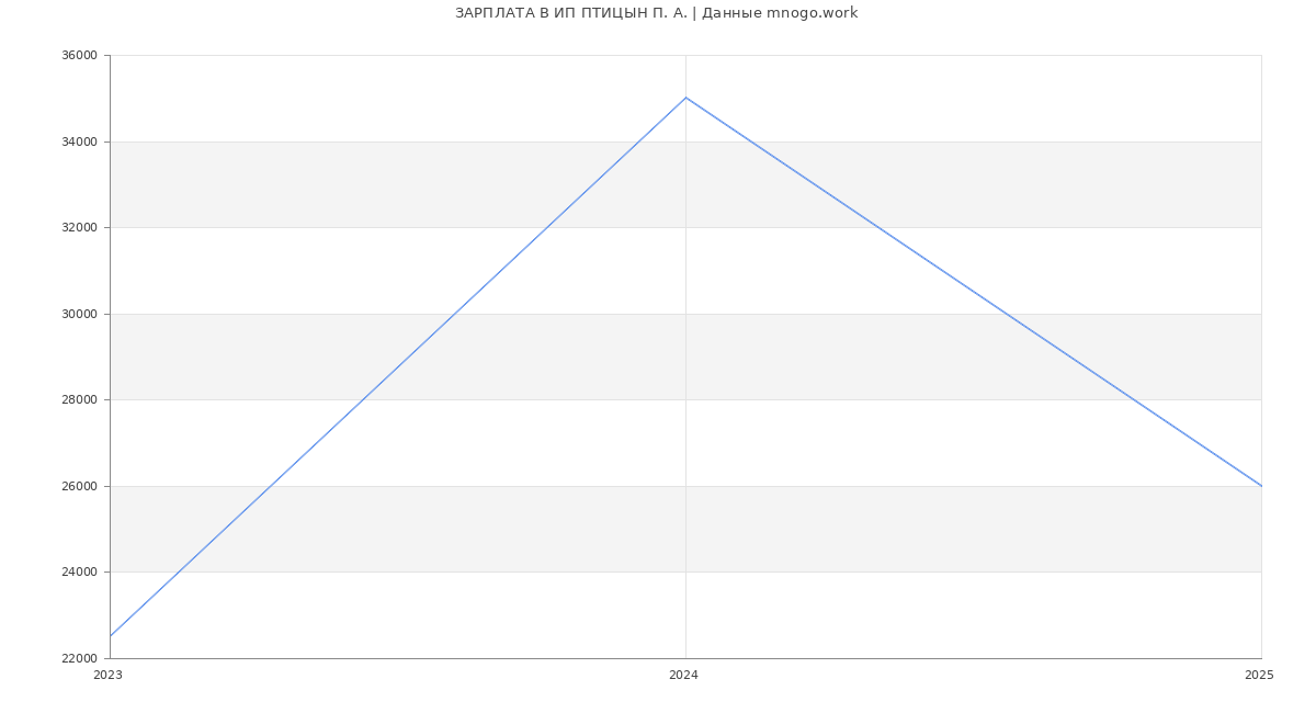 Статистика зарплат ИП ПТИЦЫН П. А.