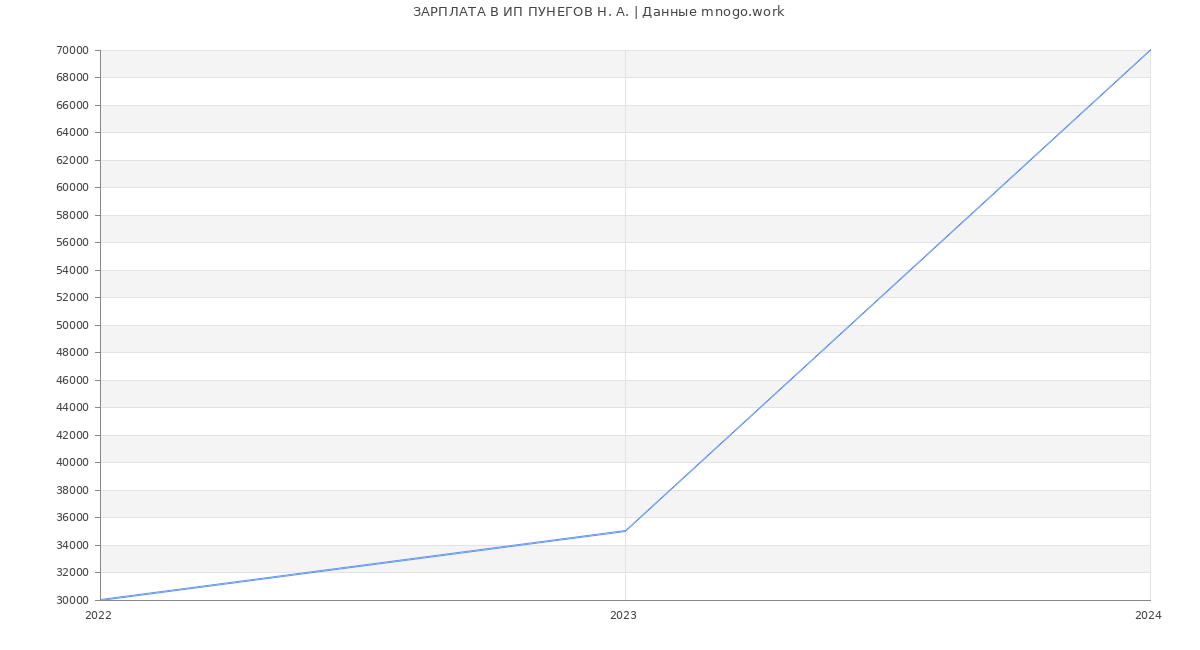Статистика зарплат ИП ПУНЕГОВ Н. А.