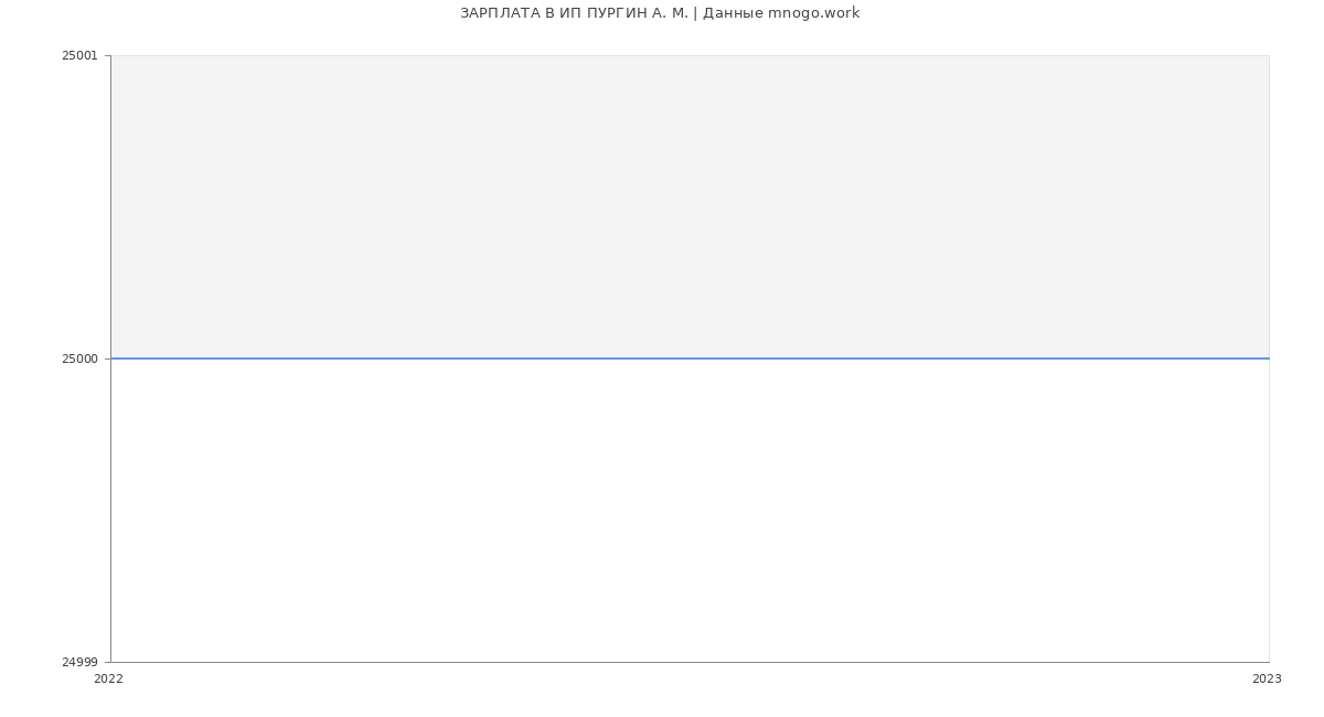 Статистика зарплат ИП ПУРГИН А. М.
