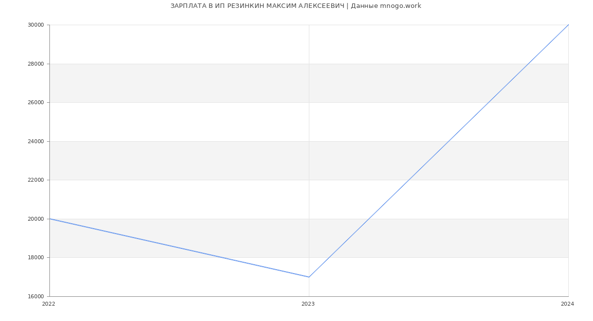 Статистика зарплат ИП РЕЗИНКИН МАКСИМ АЛЕКСЕЕВИЧ