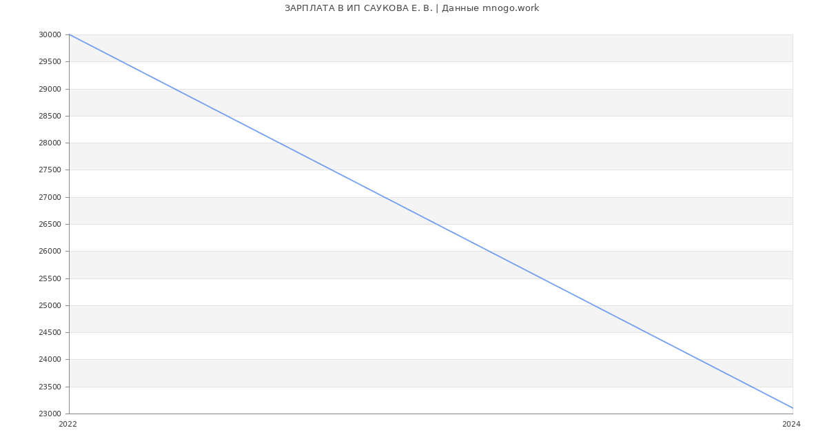 Статистика зарплат ИП САУКОВА Е. В.