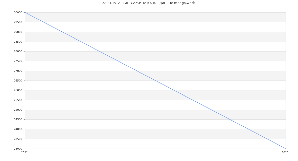 Статистика зарплат ИП САЖИНА Ю. В.