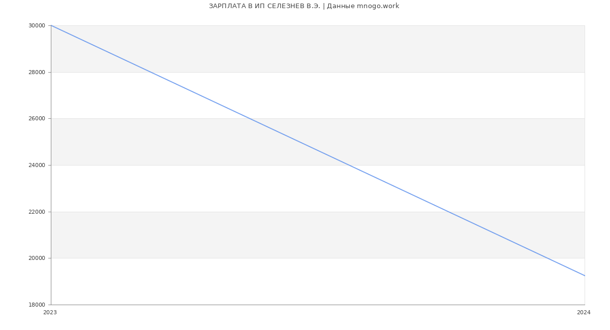 Статистика зарплат ИП СЕЛЕЗНЕВ В.Э.