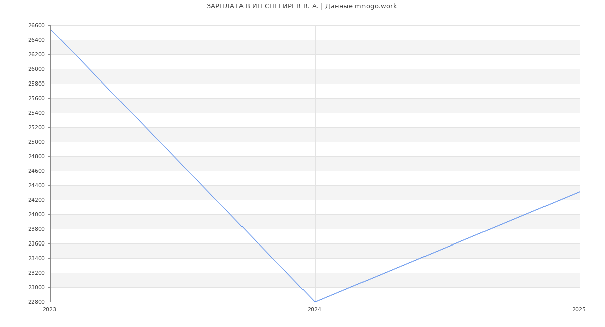 Статистика зарплат ИП СНЕГИРЕВ В. А.