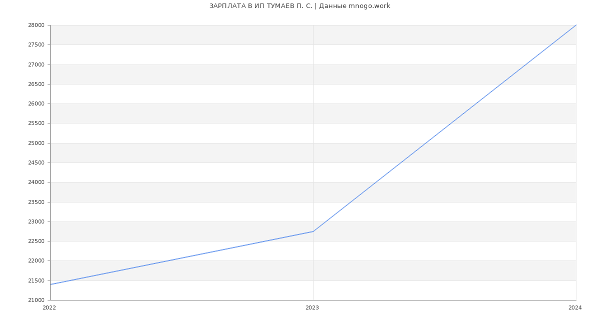 Статистика зарплат ИП ТУМАЕВ П. С.