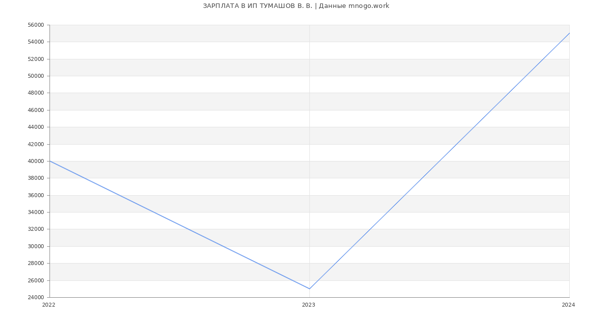 Статистика зарплат ИП ТУМАШОВ В. В.