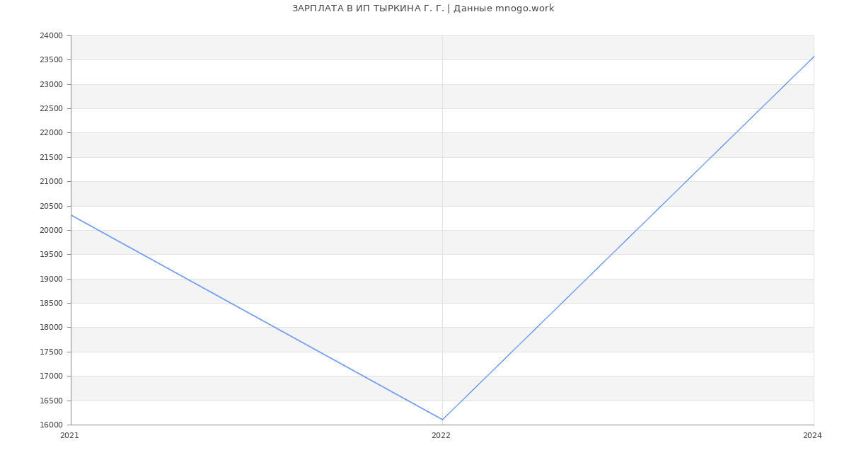 Статистика зарплат ИП ТЫРКИНА Г. Г.
