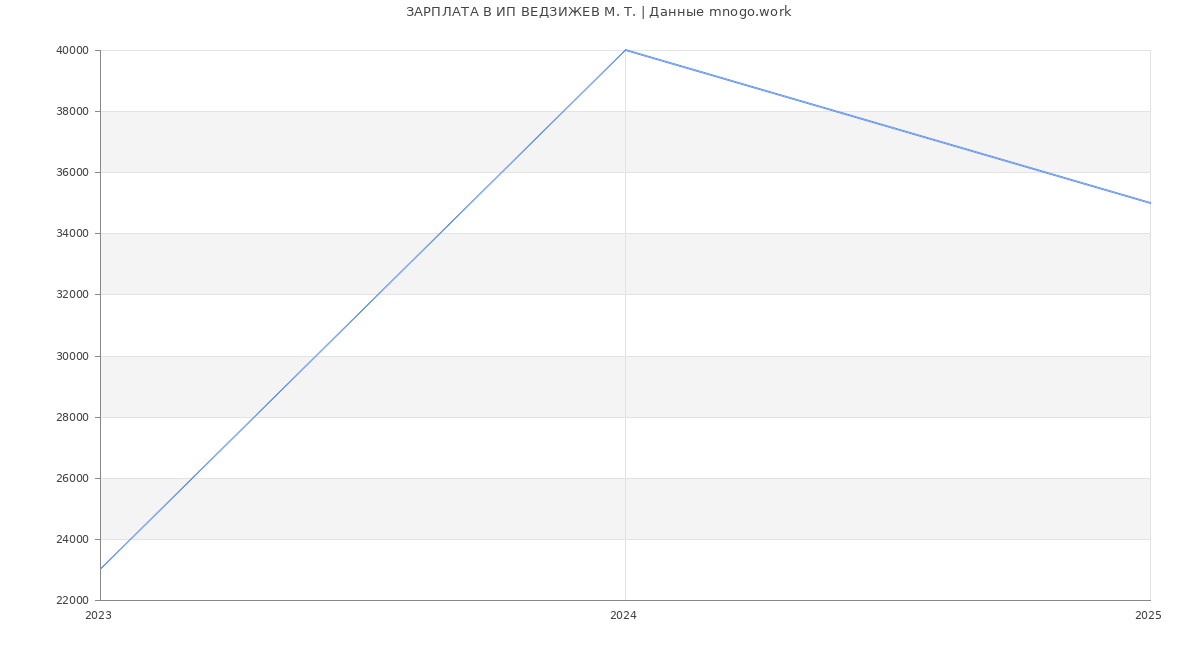 Статистика зарплат ИП ВЕДЗИЖЕВ М. Т.