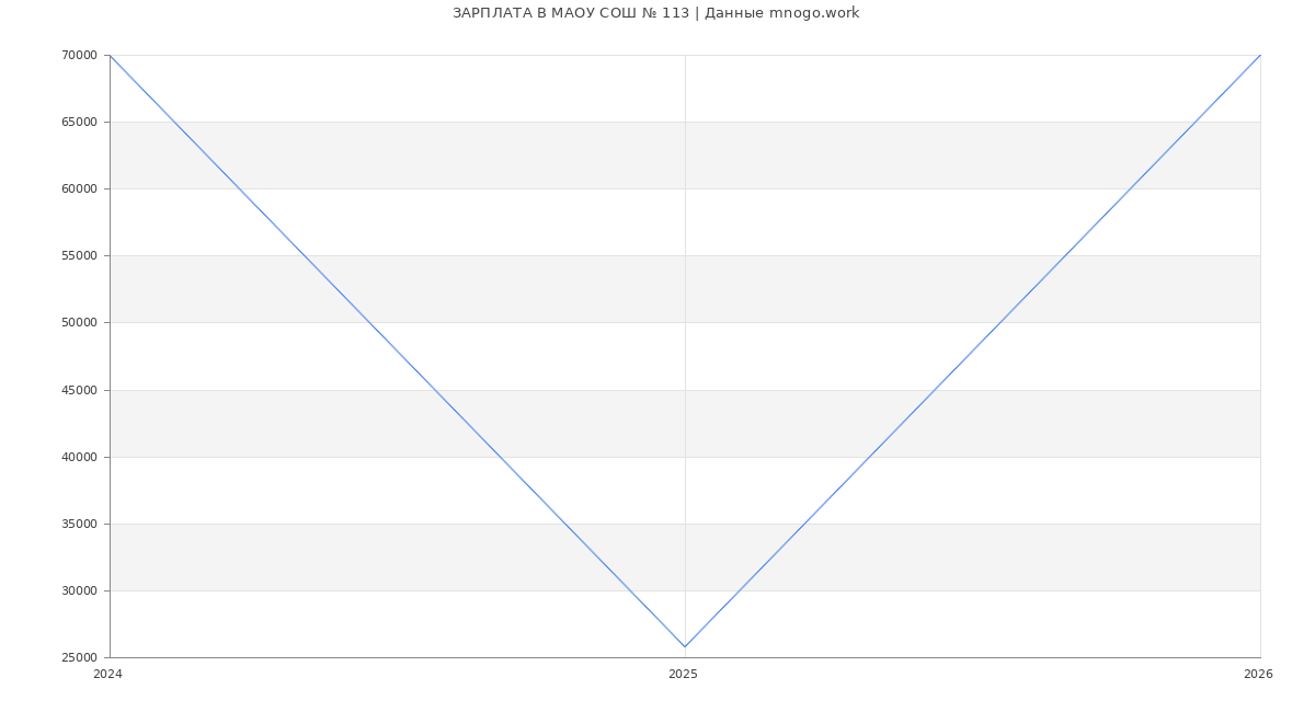 Статистика зарплат МАОУ СОШ № 113