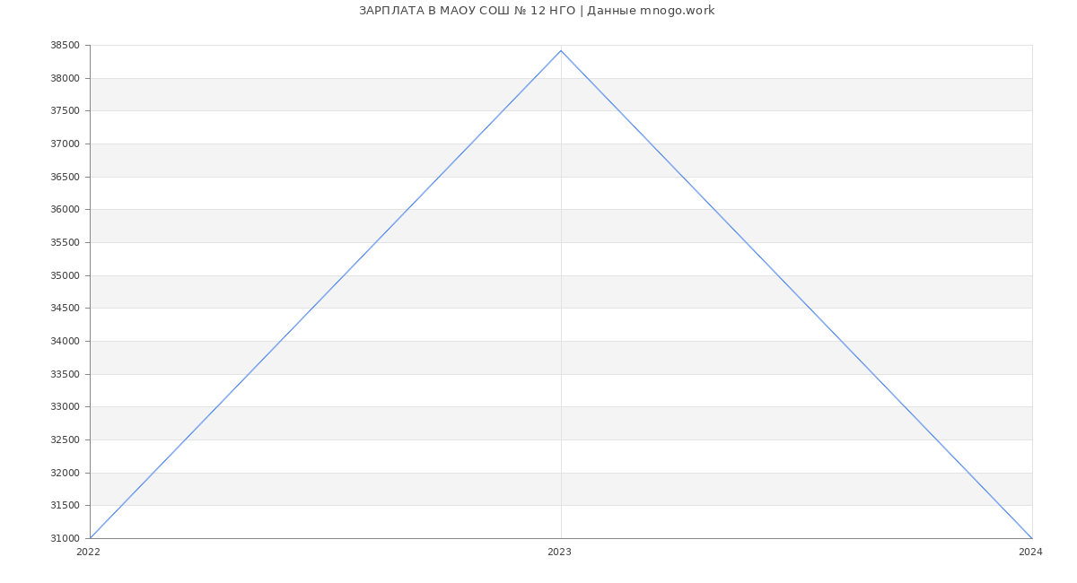 Статистика зарплат МАОУ СОШ № 12 НГО